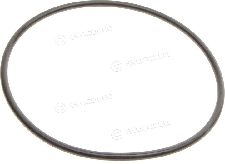 Mann PF 1055/1 x