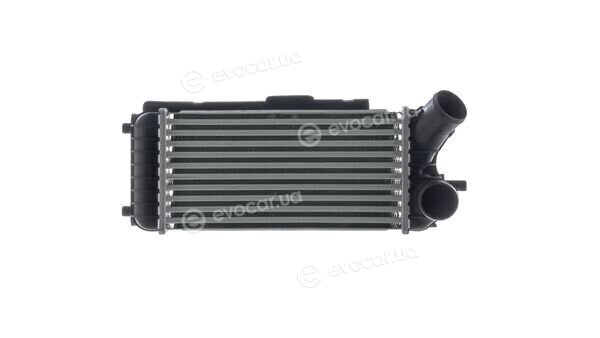 Mahle CI 246 000S
