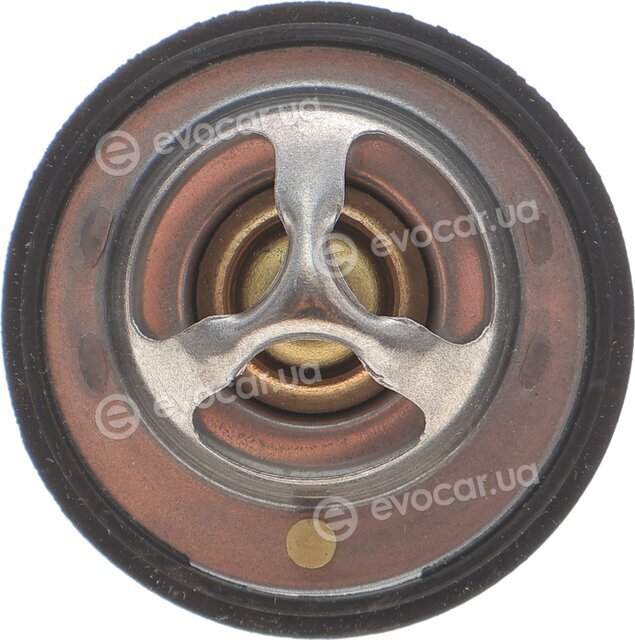 Motorad 513-82K