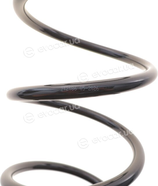 Solgy 212186