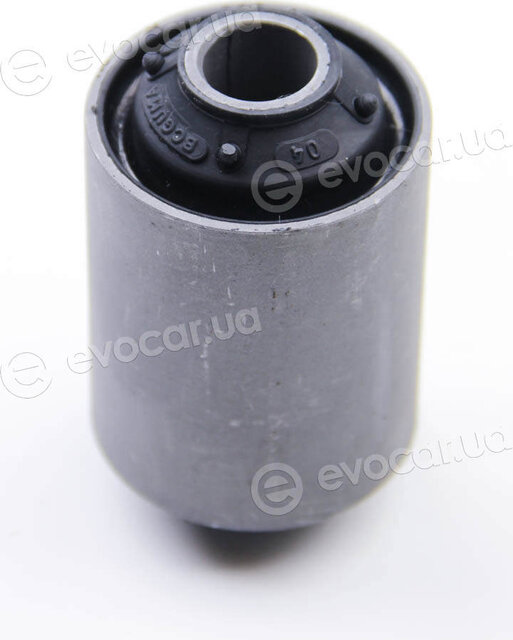 BC Guma 0613
