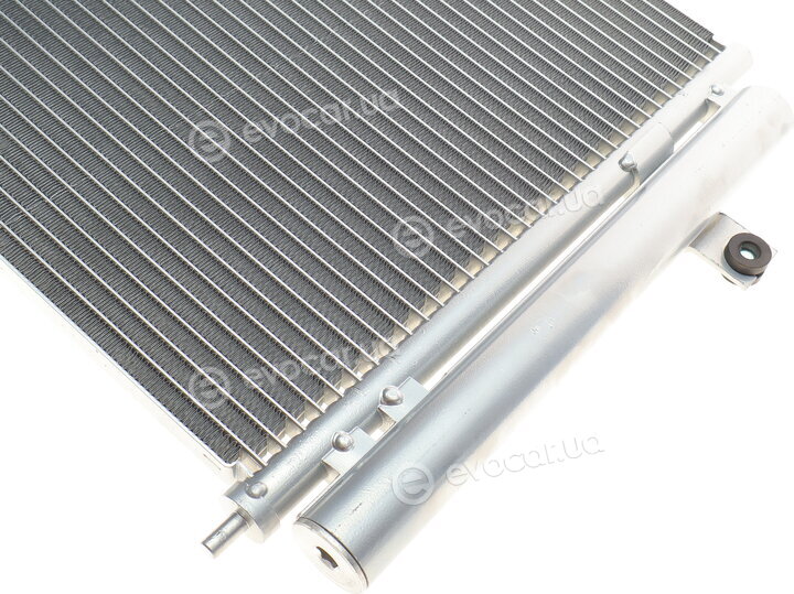 Van Wezel 82005178