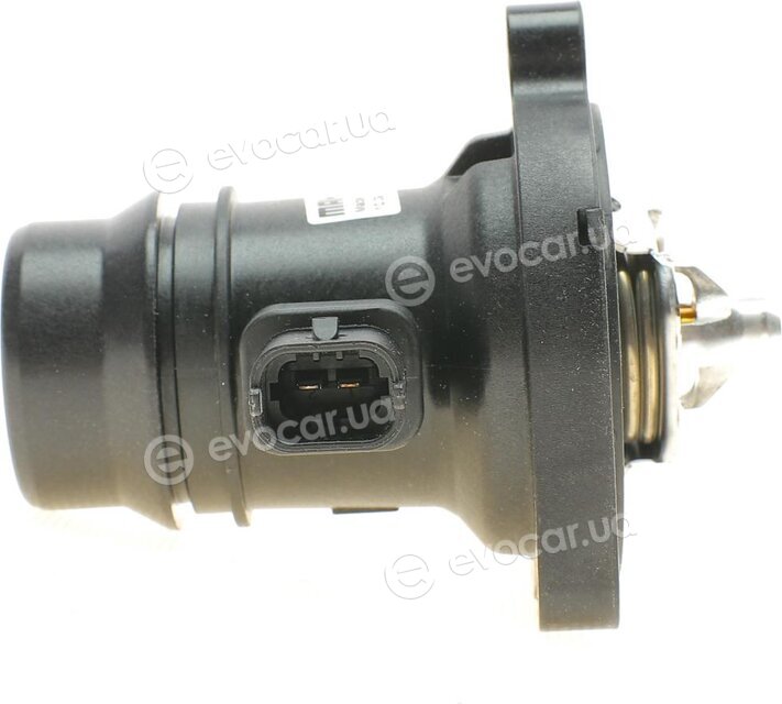 Mahle TM 37 80