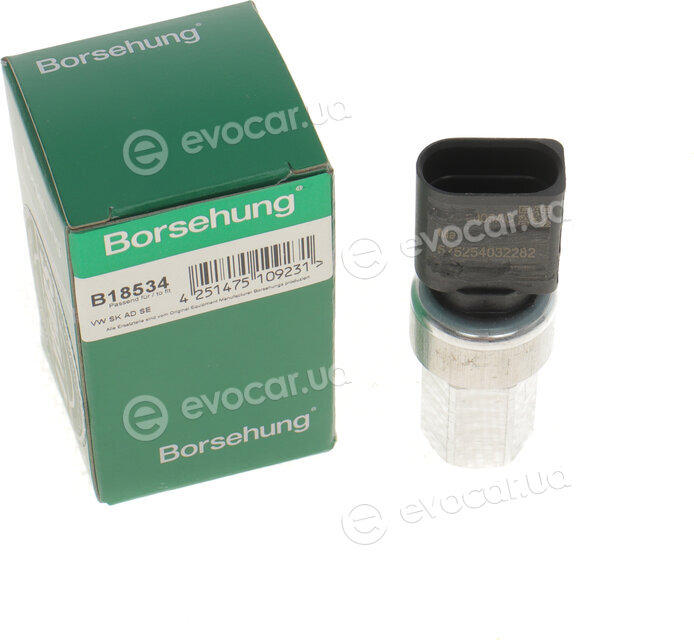 Borsehung B18534