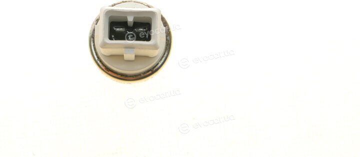 Borsehung B18288