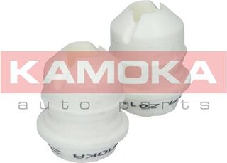 Kamoka 2019029