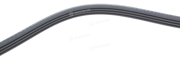 Dayco 4PK1710