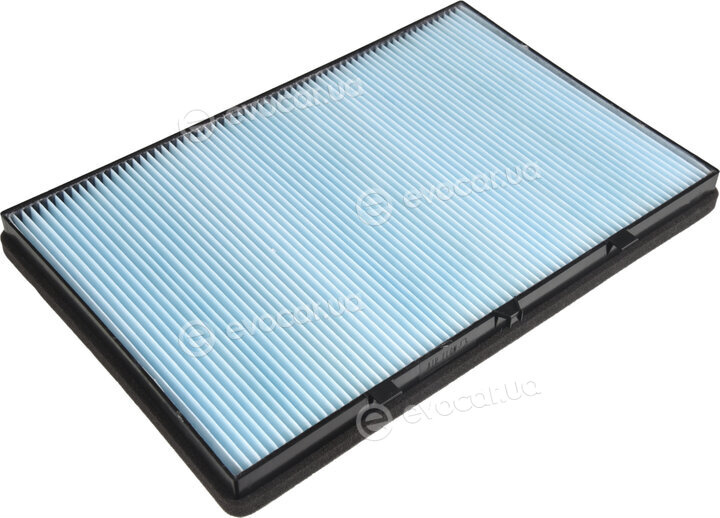 Blue Print ADG02599