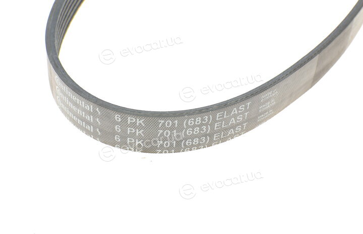 Continental 6PK701 ELAST
