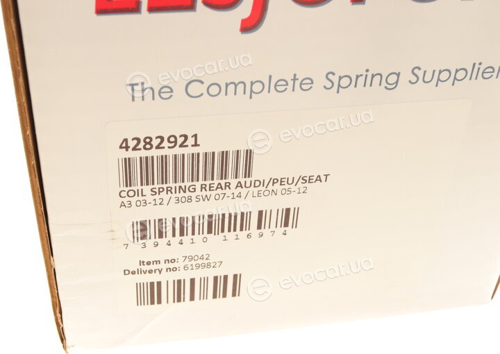 Lesjofors 4282921