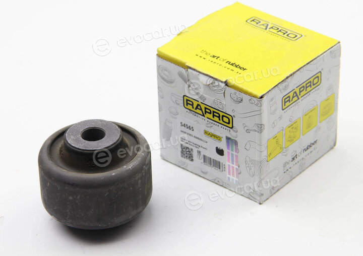 Rapro R54565