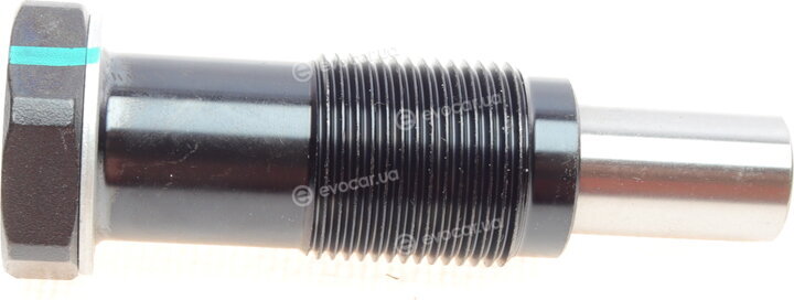 Borsehung B18296