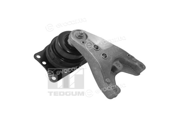 Tedgum 00729405