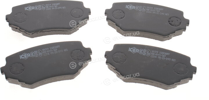 Icer 181319
