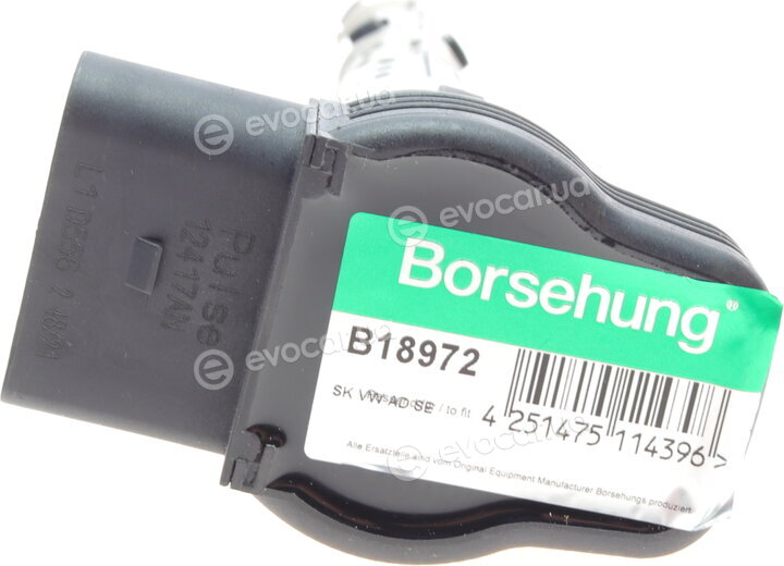 Borsehung B18972
