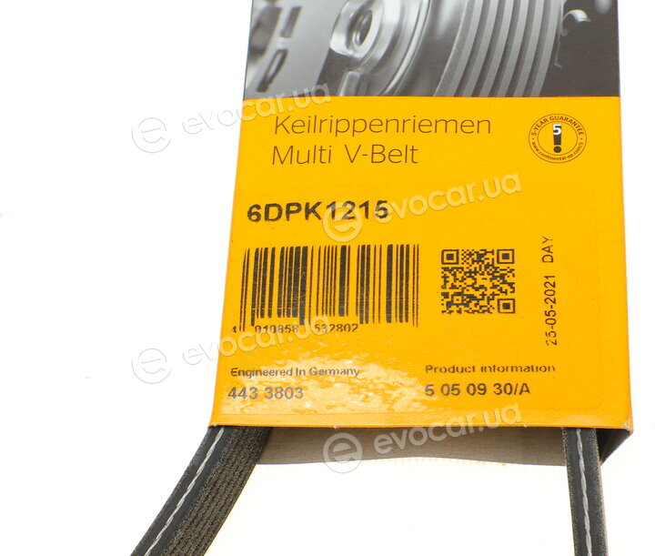 Continental 6DPK1215
