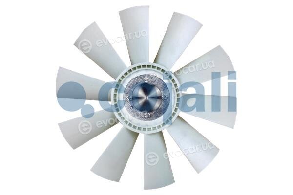 Cojali 7037132