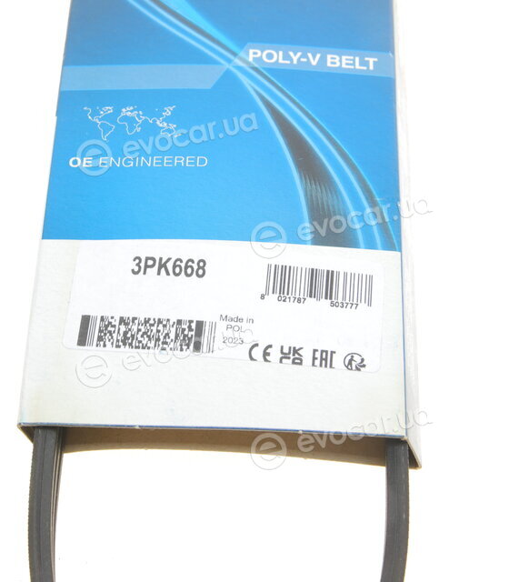Dayco 3PK668