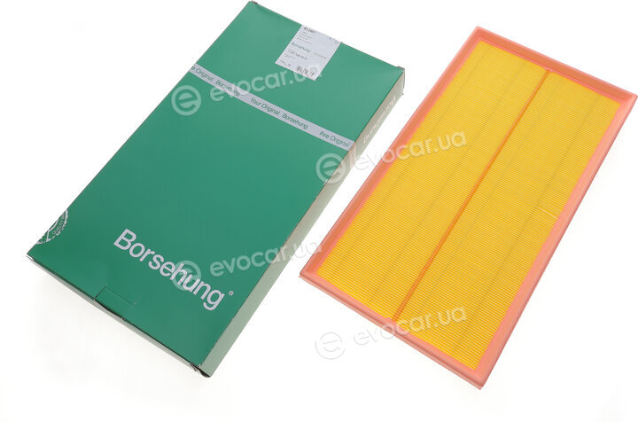 Borsehung B12401