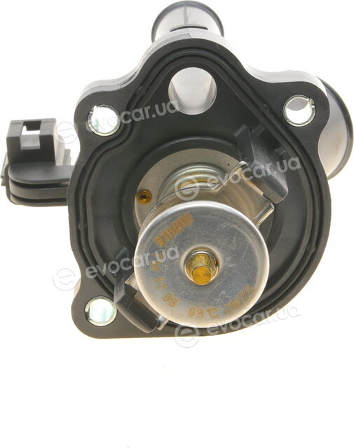 Mahle TM 17 98 S