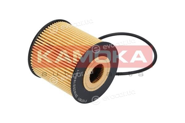 Kamoka F107801