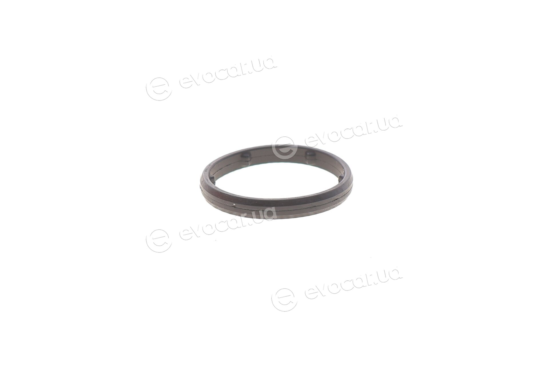 Elring 875.970