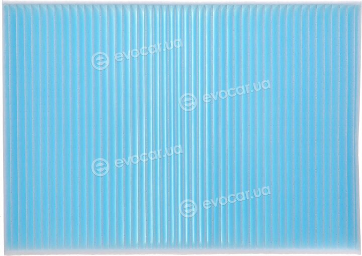 Blue Print ADF122524