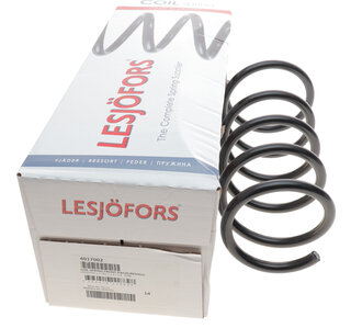 Lesjofors 4017002
