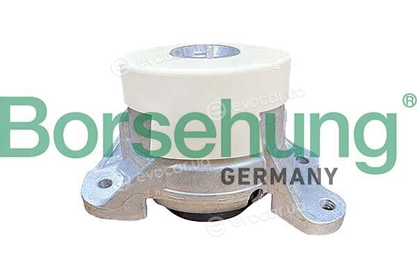 Borsehung B12655
