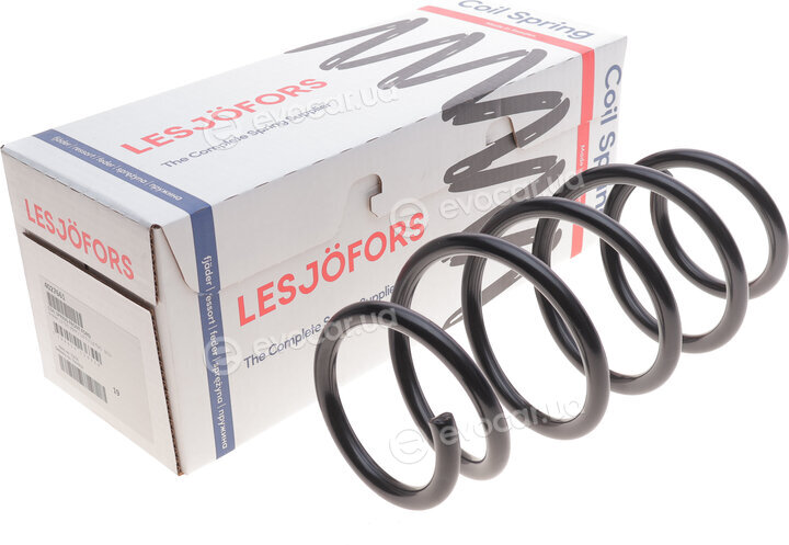 Lesjofors 4027661