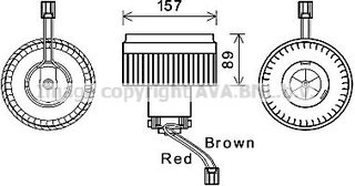 Ava Quality VO8177