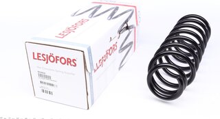 Lesjofors 4214210