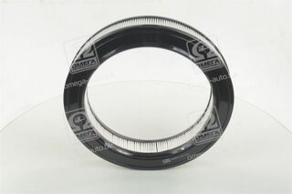 Champion CAF100103R