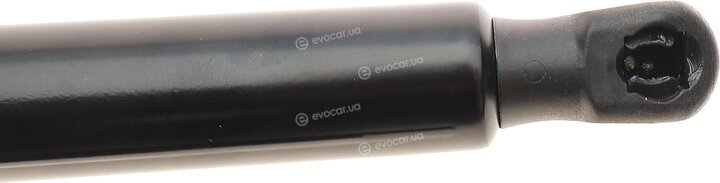 Stabilus 630021