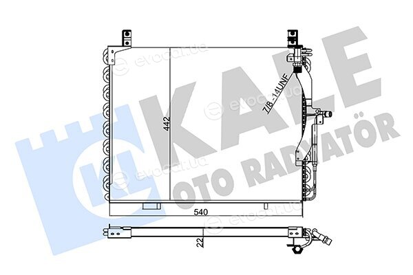 Kale 354055