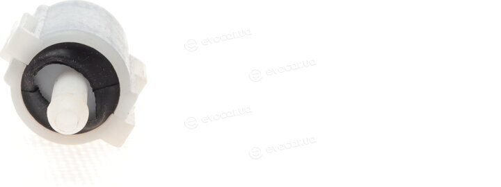 Solgy 307012