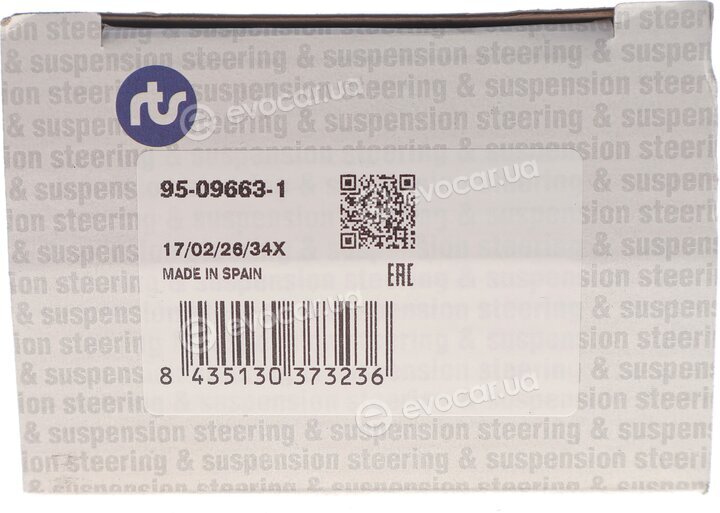 RTS 95-09663-1