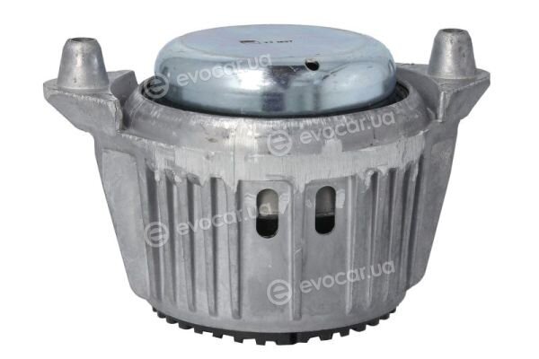 Reinhoch RH11-3119