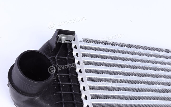 NRF 30325
