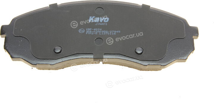 Kavo KBP-4024