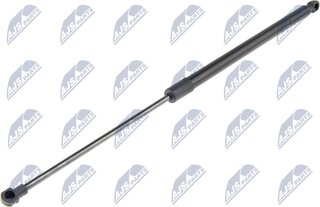 NTY AE-NS-019