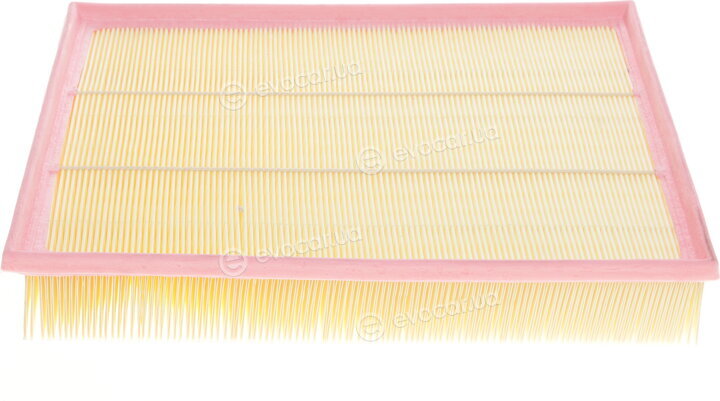 Solgy 103063
