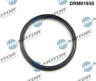 Dr. Motor DRM01850