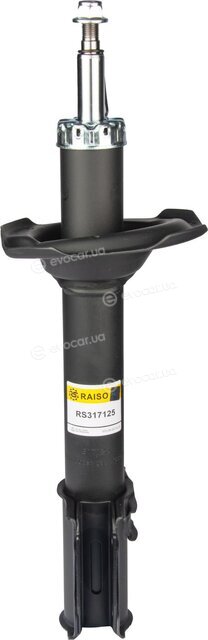 Raiso RS317125