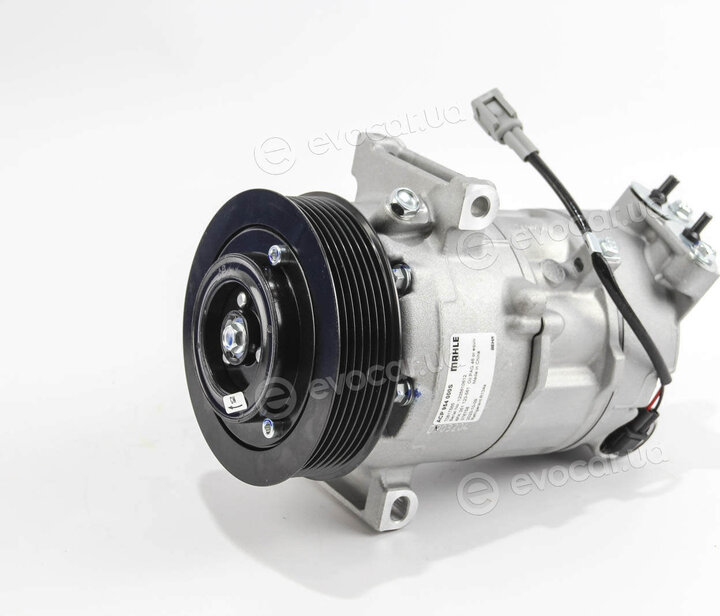 Mahle ACP 954 000S