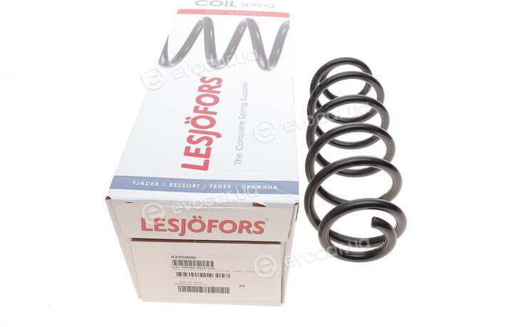 Lesjofors 4295090