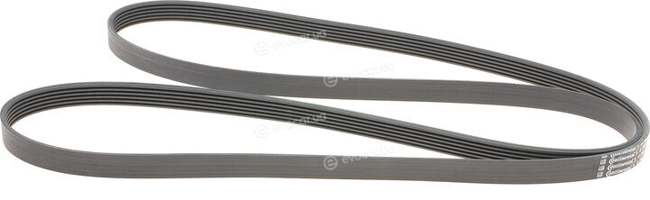 Continental 6PK2215
