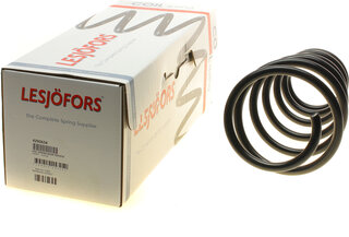 Lesjofors 4292654