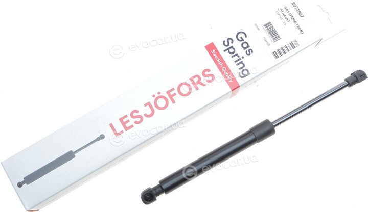 Lesjofors 8072907