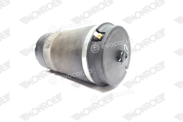 Monroe ASP038
